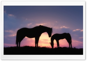Horses Sunset Silhouette Ultra HD Wallpaper for 4K UHD Widescreen desktop, tablet & smartphone