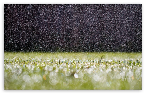 spring rain wallpaper hd widescreen