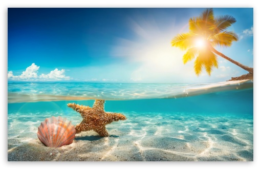 Hot Summer, Tropical Beach UltraHD Wallpaper for UHD 16:9 2160p 1440p 1080p 900p 720p ; 8K UHD TV 16:9 Ultra High Definition 2160p 1440p 1080p 900p 720p ; Widescreen 16:10 5:3 WHXGA WQXGA WUXGA WXGA WGA ; Fullscreen 4:3 5:4 3:2 UXGA XGA SVGA QSXGA SXGA DVGA HVGA HQVGA ( Apple PowerBook G4 iPhone 4 3G 3GS iPod Touch ) ; Tablet 1:1 ; Mobile 9:16 2:3 3:5 3:4 - ;