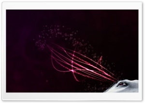 Hourse Eye Ultra HD Wallpaper for 4K UHD Widescreen desktop, tablet & smartphone