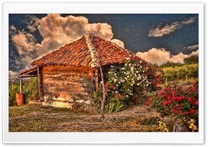 Hut With Roses Ultra HD Wallpaper for 4K UHD Widescreen desktop, tablet & smartphone
