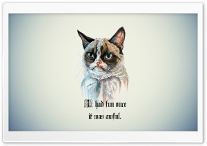I Had Fun Once It Was Awful Cat Ultra HD Wallpaper for 4K UHD Widescreen desktop, tablet & smartphone