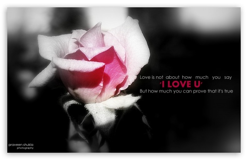 i love u UltraHD Wallpaper for Widescreen 16:10 ;