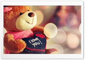 I love You Teddy Bear Ultra HD Wallpaper for 4K UHD Widescreen desktop, tablet & smartphone