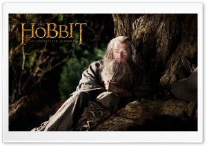 Ian Mckellen as Gandalf in The Hobbit An Unexpected Journey Ultra HD Wallpaper for 4K UHD Widescreen desktop, tablet & smartphone