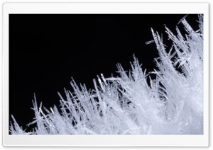 Ice Crystals Ultra HD Wallpaper for 4K UHD Widescreen desktop, tablet & smartphone
