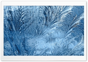Ice Flowers On The Window Ultra HD Wallpaper for 4K UHD Widescreen desktop, tablet & smartphone