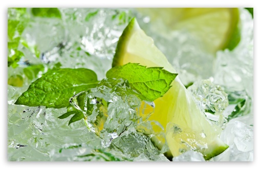 Ice Mint Leaves UltraHD Wallpaper for HD 16:9 ; Widescreen 16:10 5:3 ; Fullscreen 4:3 5:4 3:2 ; Tablet 1:1 ;