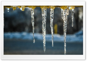 Icicles On A Cold Afternoon Ultra HD Wallpaper for 4K UHD Widescreen desktop, tablet & smartphone