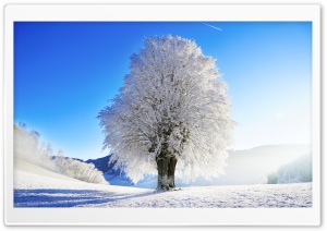 Idyllic Landscape, Winter Ultra HD Wallpaper for 4K UHD Widescreen desktop, tablet & smartphone