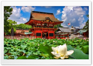 Iga Hachiman Shrine And Lotuses Ultra HD Wallpaper for 4K UHD Widescreen desktop, tablet & smartphone