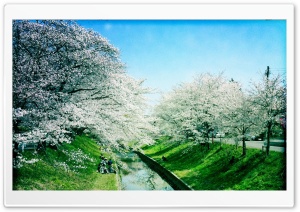 Iga River, Spring Ultra HD Wallpaper for 4K UHD Widescreen desktop, tablet & smartphone