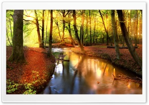 Impressive Autumn Landscape Ultra HD Wallpaper for 4K UHD Widescreen desktop, tablet & smartphone