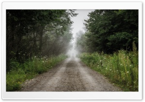 In The Fog Photography Ultra HD Wallpaper for 4K UHD Widescreen desktop, tablet & smartphone