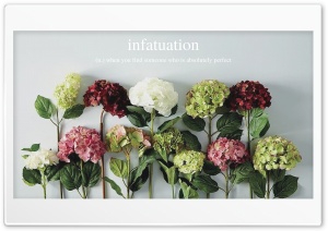 Infatuation Ultra HD Wallpaper for 4K UHD Widescreen desktop, tablet & smartphone