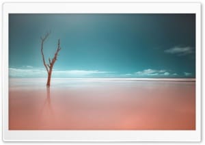 Infrared Mangrove Flooding at Ilha do Cardoso State Park 4K UHD Wallpaper for Widescreen and UltraWide Desktop, UltraHD TV, Smartphone, Tablet