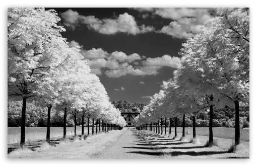 Infrared Photo UltraHD Wallpaper for HD 16:9 ; Widescreen 16:10 5:3 ; Fullscreen 4:3 5:4 3:2 ; Tablet 1:1 ; Mobile 3:5 ; Dual 4:3 5:4 ;