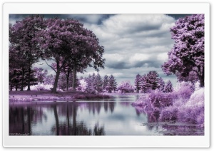 Infrared Pond Ultra HD Wallpaper for 4K UHD Widescreen desktop, tablet & smartphone