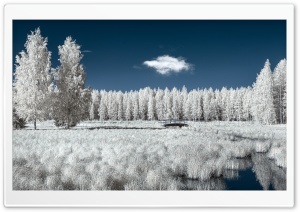Infrared View of Finland 4K UHD Wallpaper for Widescreen and UltraWide Desktop, UltraHD TV, Smartphone, Tablet
