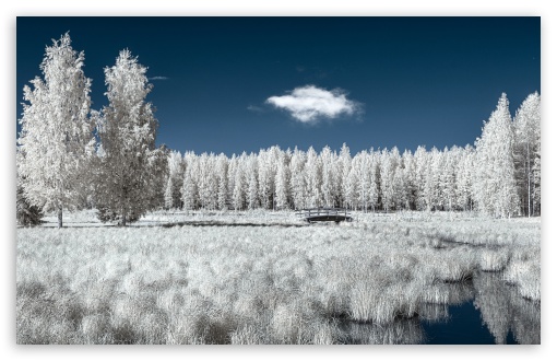 Infrared View of Finland UltraHD Wallpaper for UHD 16:9 ; HD 16:9 ; UltraWide 21:9 24:10 32:9 32:10 ; Widescreen 16:10 5:3 ; Fullscreen 4:3 5:4 3:2 ; Tablet 1:1 ; Mobile 9:16 9:19.5 9:20 9:21 9:22 10:16 2:3 3:5 3:4 ; Dual 16:10 5:3 16:9 4:3 5:4 3:2 ;