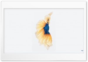 iPhone 6S Ultra HD Wallpaper for 4K UHD Widescreen desktop, tablet & smartphone