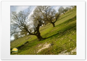 Iran-Ilam Nature Spring 4K UHD Wallpaper for Widescreen and UltraWide Desktop, UltraHD TV, Smartphone, Tablet