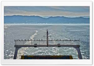 Istanbul Ferry Ultra HD Wallpaper for 4K UHD Widescreen Desktop, Lockscreen, Screensaver, TV, Tablet, Smartphone