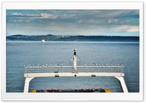 Istanbul Ferry Seagull Ultra HD Wallpaper for 4K UHD Widescreen desktop, tablet & smartphone