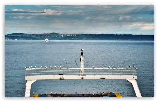 Istanbul Ferry Seagull UltraHD Wallpaper for Wide 16:10 5:3 Widescreen WHXGA WQXGA WUXGA WXGA WGA ; 8K UHD TV 16:9 Ultra High Definition 2160p 1440p 1080p 900p 720p ; UHD 16:9 2160p 1440p 1080p 900p 720p ; Mobile 5:3 - WGA ;