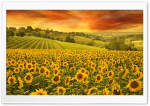 Italian Hills Landscape Ultra HD Wallpaper for 4K UHD Widescreen desktop, tablet & smartphone