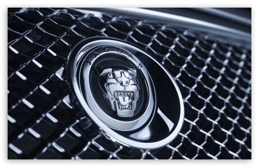 Jaguar Badge 1 Ultra HD Desktop Background Wallpaper for 4K UHD TV ...