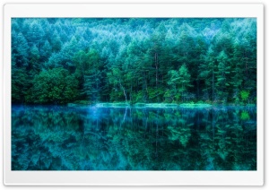 Japan Pond Forest Ultra HD Wallpaper for 4K UHD Widescreen desktop, tablet & smartphone