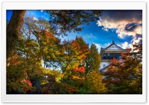 Japanese Castle, Autumn Ultra HD Wallpaper for 4K UHD Widescreen desktop, tablet & smartphone
