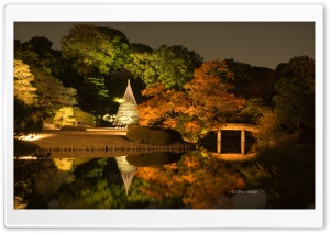 Japanese Garden at Night Ultra HD Wallpaper for 4K UHD Widescreen desktop, tablet & smartphone