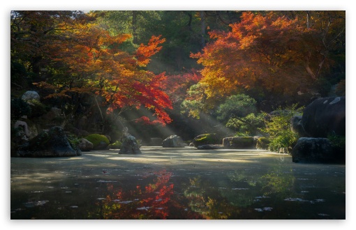 Japanese Garden Autumn Sun Rays Over Tranquil Pond UltraHD Wallpaper for UHD 16:9 ; HD 16:9 ; UltraWide 21:9 24:10 ; Widescreen 16:10 ; Fullscreen 3:2 ; Tablet 1:1 ; Mobile 9:16 9:19.5 9:20 9:21 9:22 ;