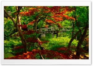 Japanese Garden (Kyoto) Ultra HD Wallpaper for 4K UHD Widescreen desktop, tablet & smartphone
