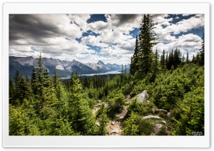Jasper National Park, Canada Ultra HD Wallpaper for 4K UHD Widescreen desktop, tablet & smartphone