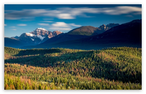 Jasper National Park, Canada, Landscape UltraHD Wallpaper for Wide 16:10 5:3 Widescreen WHXGA WQXGA WUXGA WXGA WGA ; UltraWide 21:9 24:10 ; 8K UHD TV 16:9 Ultra High Definition 2160p 1440p 1080p 900p 720p ; UHD 16:9 2160p 1440p 1080p 900p 720p ; Mobile 5:3 16:9 - WGA 2160p 1440p 1080p 900p 720p ;