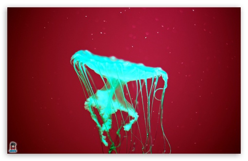 jellyfishinvasion 004 UltraHD Wallpaper for Widescreen 16:10 ;