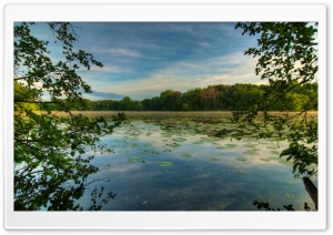 Jensen Lake, Lebanon Hills Park, Eagan, Minnesota Ultra HD Wallpaper for 4K UHD Widescreen desktop, tablet & smartphone