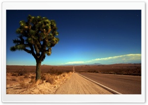 Joshua Tree Highway Ultra HD Wallpaper for 4K UHD Widescreen desktop, tablet & smartphone