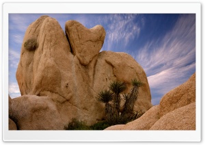 Joshua Tree National Park Ca Ultra HD Wallpaper for 4K UHD Widescreen desktop, tablet & smartphone