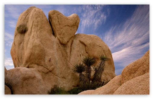 Joshua Tree National Park Ca UltraHD Wallpaper for Widescreen 16:10 WHXGA WQXGA WUXGA WXGA ; Fullscreen 4:3 5:4 3:2 UXGA XGA SVGA QSXGA SXGA DVGA HVGA HQVGA ( Apple PowerBook G4 iPhone 4 3G 3GS iPod Touch ) ;