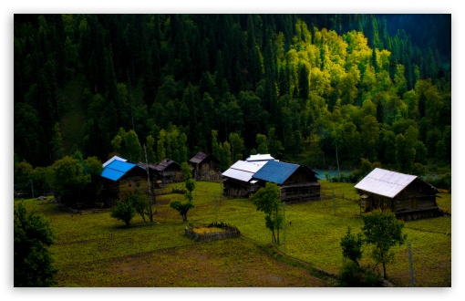 Jungle UltraHD Wallpaper for UHD 16:9 ; HD 16:9 ; Widescreen 16:10 5:3 ; Fullscreen 3:2 ;