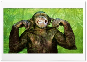 Jungle Ape 4K UHD Wallpaper for Widescreen and UltraWide Desktop, UltraHD TV, Smartphone, Tablet