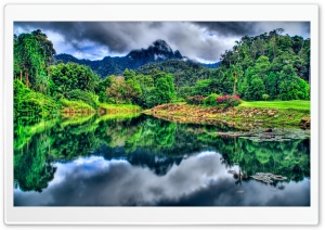 Jungle HDR Ultra HD Wallpaper for 4K UHD Widescreen desktop, tablet & smartphone
