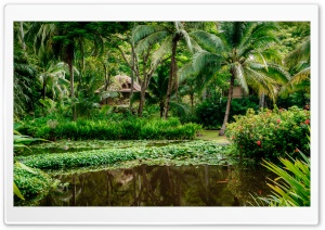 Jungle Lake 4K UHD Wallpaper for Widescreen and UltraWide Desktop, UltraHD TV, Smartphone, Tablet