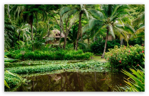 Jungle Lake UltraHD Wallpaper for UHD 16:9 ; HD 16:9 ; UltraWide 21:9 24:10 ; Widescreen 16:10 5:3 ; Fullscreen 4:3 5:4 3:2 ; Tablet 1:1 ;