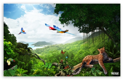 Jungle Photo Manipulation by Pacolix Ultra HD Desktop Background Wallpaper  for 4K UHD TV : Tablet : Smartphone
