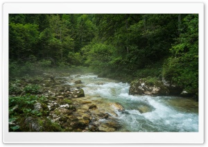 Kamniska Bistrica Alpine River in Slovenia Ultra HD Wallpaper for 4K UHD Widescreen desktop, tablet & smartphone